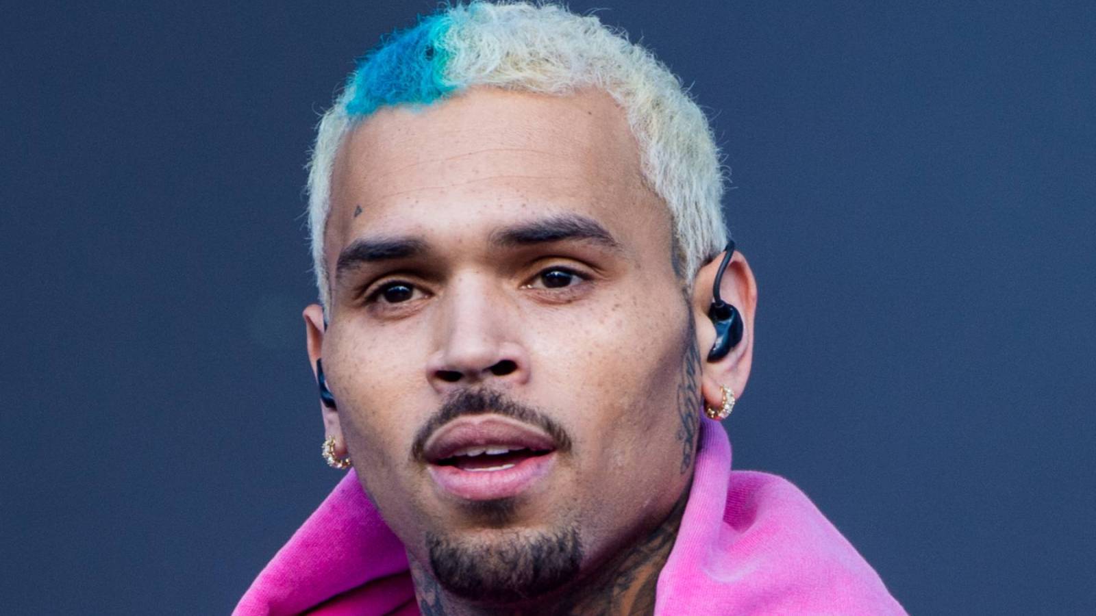Chris Brown's Company Loses Bid to Dismantle Dog Bite Lawsuit!